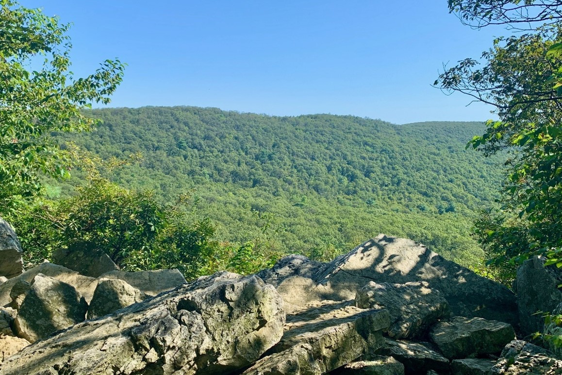 Hawke Mountain Sanctuary