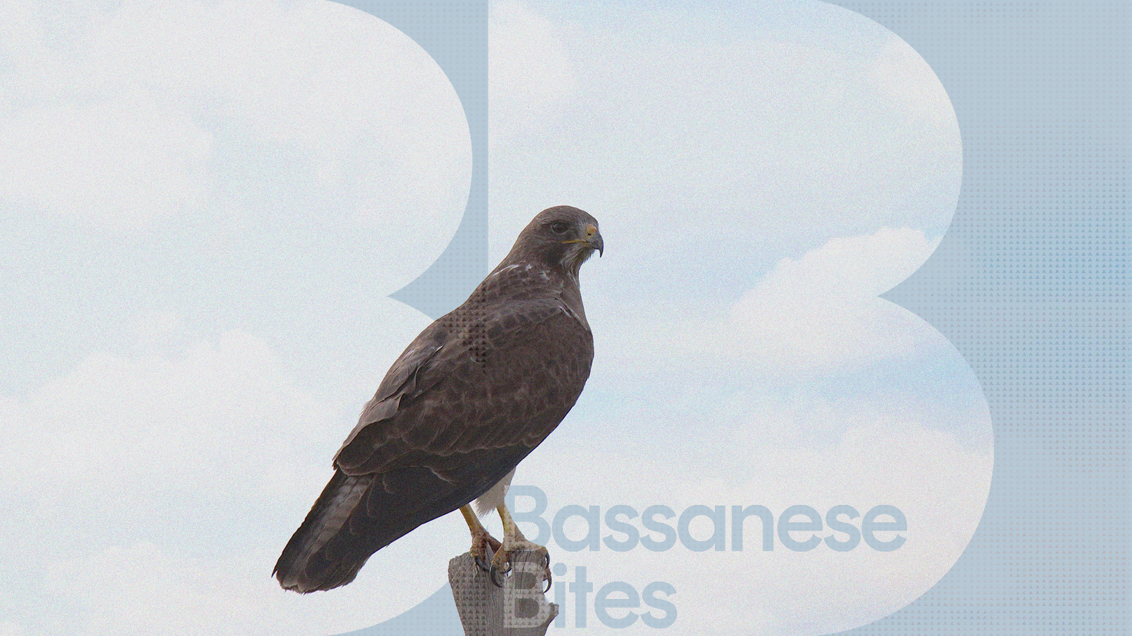 Hawkish pause