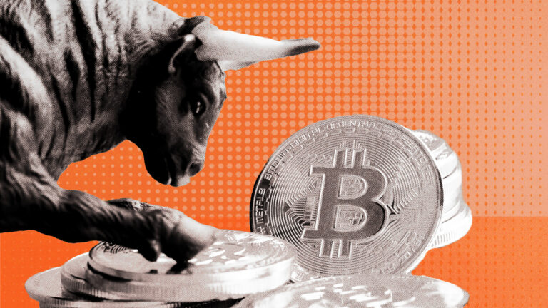 What’s been driving the bull market in crypto?