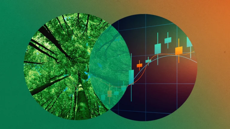 The nature of investing