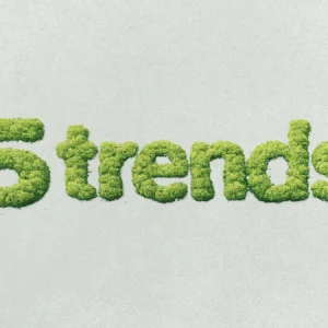 Responsible investment: 5 themes for 2026