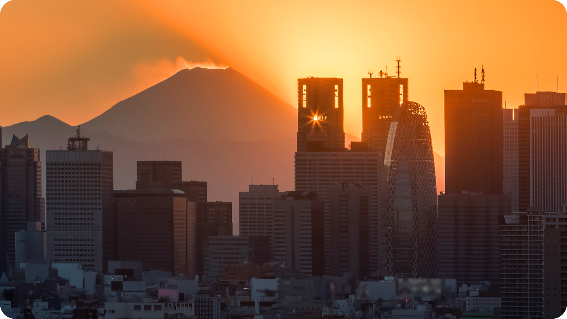When cyclical meets structural: Japan's golden opportunity