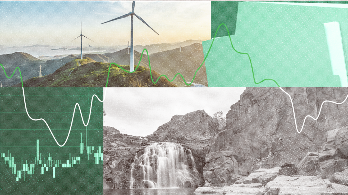 EU adopts simplified sustainability reporting standards